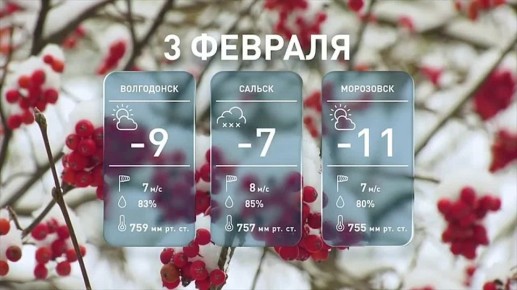 ������, ������ � �����: ������� ������ �� �������, 3 �������