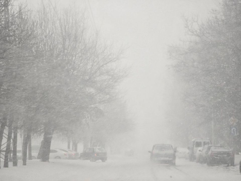 После «снегопакалипсиса» на линии вышли всего два троллейбусных маршрута