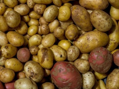 ��� �������� ������������� ������ ��������� � ������ �����