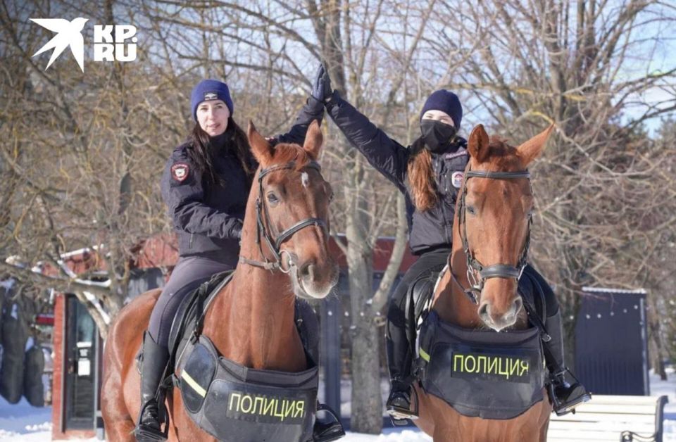 На улицы заснеженного Ростова вышел необычный полицейский патруль