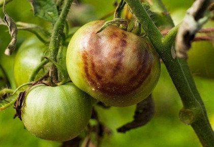 ��� ��������� ����� �� �����������: 5 �������� ��� ��������� ��������