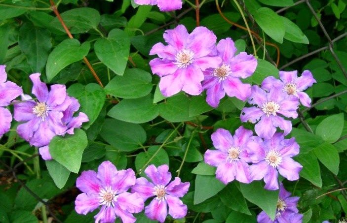 ��� ��������� ��������� �� ����������� � ����: 7 �������� �������