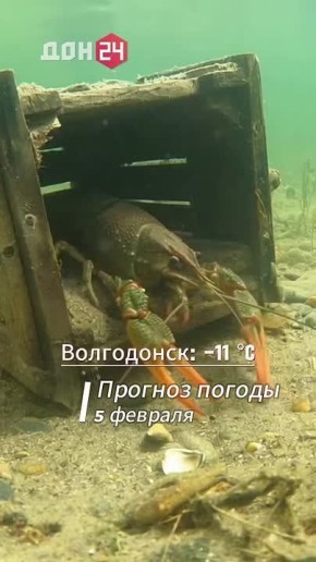 ����� � ������: ����� ������ ������������ �������� �������?