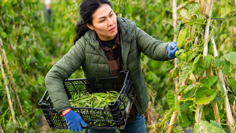 �������� ����� � ������ ������ ��� ��������: ����� �������� �������� ������