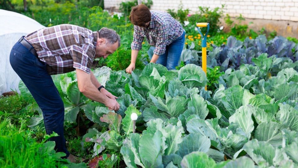 �� �����, ��� ������� ����� ������ � ����: ������ ��� ������ ��� �����