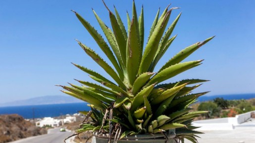 �������� � ����������� ����������: � ���� ������������ ���� �������� ��� �� �������