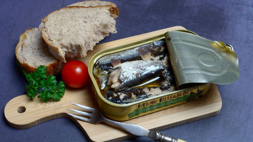 �� ���� ��� �������: ��� ������ ������ ���� �������� ����� ����� �������� �����