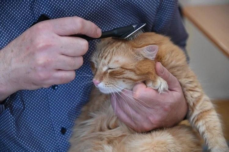 Пока мы привычно спешим в офисы, в Ростове набирают популярность по-настоящему необычные профессии