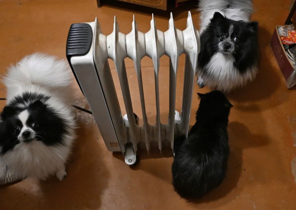 ������ �������� ��� ����� 20 ������������ ����� � ������ �������