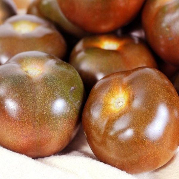 Уникальный томат Гном Лапа кенгуру коричневый: маленький большой вкус