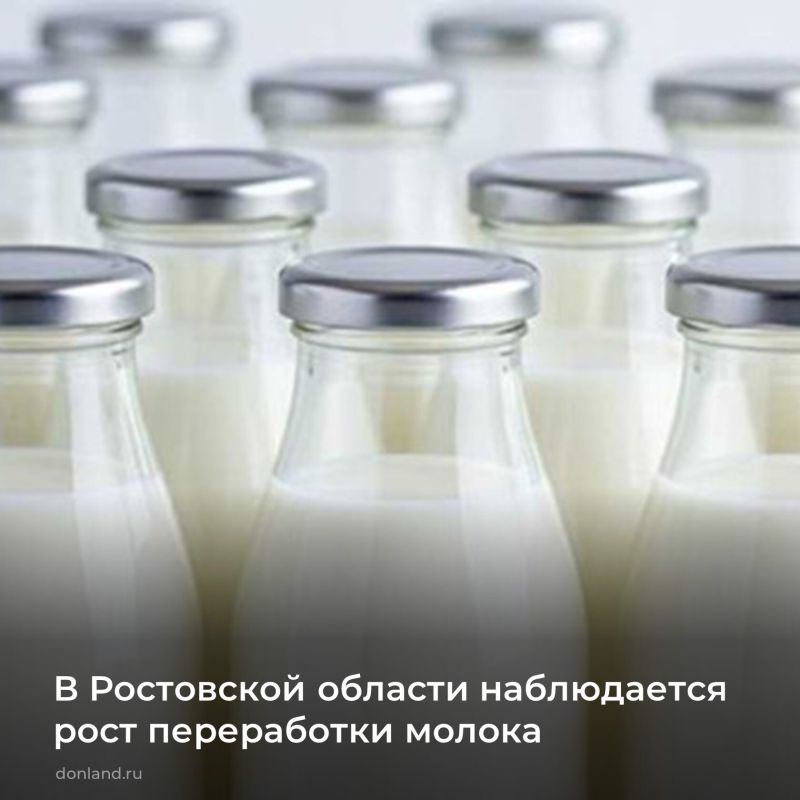 �� 11 ������� 2025 ���� � ���������� �������: