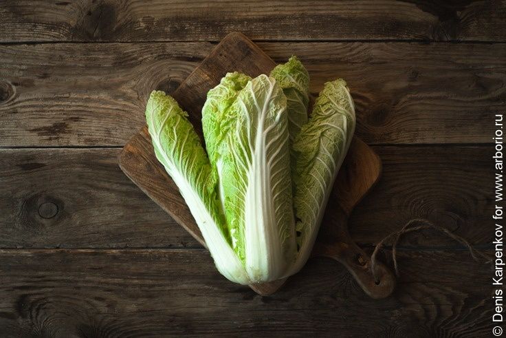 Продукты, которые не стоит отправлять в морозильник