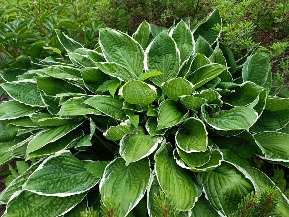 �����: ���� ���������� ������������� ��� �������� ������