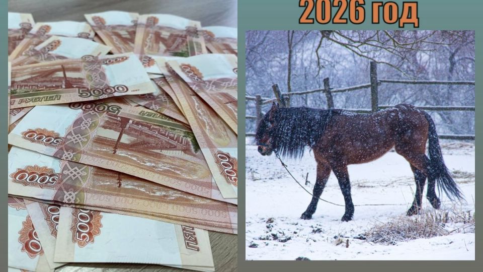 Секреты финансовой грамотности: как перестать зависеть от зарплаты