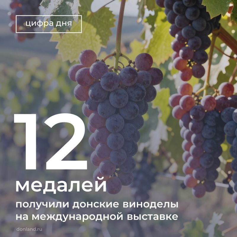 Пять золотых, шесть серебряных и одну бронзовую медаль завоевало АО «Цимлянские вина» на международной выставке «Продэкспо-2026» в Москве