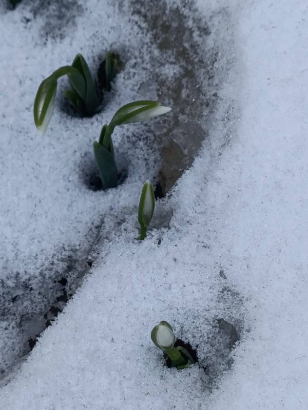 � ������� ����� ����������� ���� � ����� ���� �������������� ������ �����������