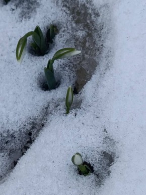 � ������� ����� ����������� ���� � ����� ���� �������������� ������ �����������