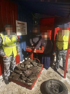 Транспортные полицейские задержали жительницу Новочеркасска за попытку кражи чугуна из грузового поезда