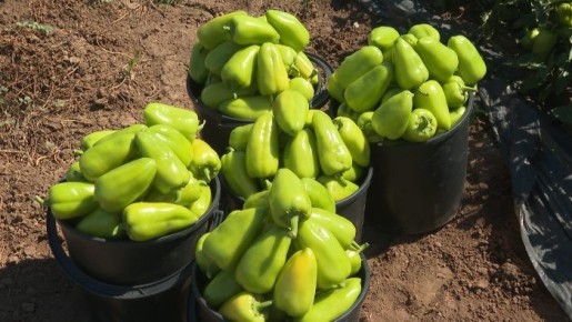 ����� ������: ��������� ����� ��� ������ � ������� �������