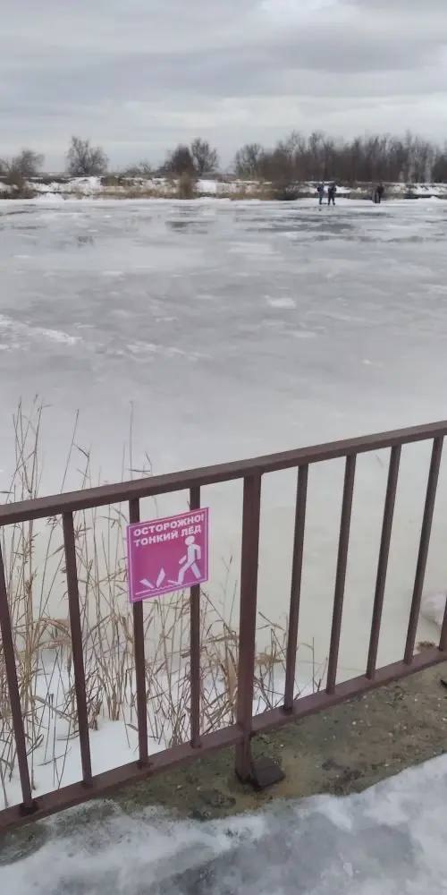Осторожно: тонкий лёд. В Батайске из-за потепления лёд на водоёмах становится особенно опасным Осторожно: тонкий лёд. В Батайске из-за потепления лёд на водоёмах становится особенно опасным