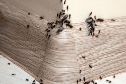 ������� � ����: ��� �� ���������� � ��� ���������� �� �������� ������