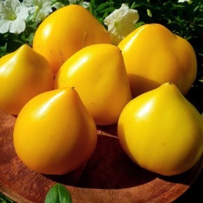 ����� ������� ��������: ��� ��������� ��������� ����� � ������� ������