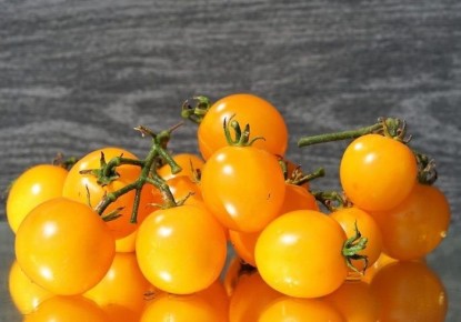 ������� �����: ��������� ����� ��� ������ ����