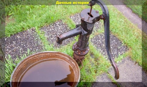 ������ ���� � � ������� �� ���� ��������: ���� � ����������