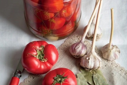 ���������� �����: ��� ���������� �������� � �������� ������