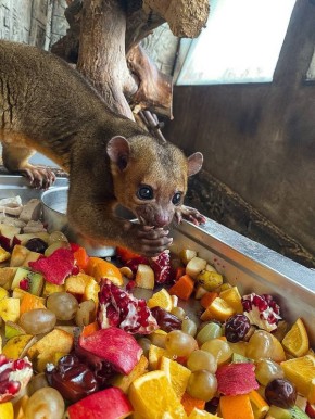 ���� ������ ����� � ������, � �������� ������� ����� ����� ����!