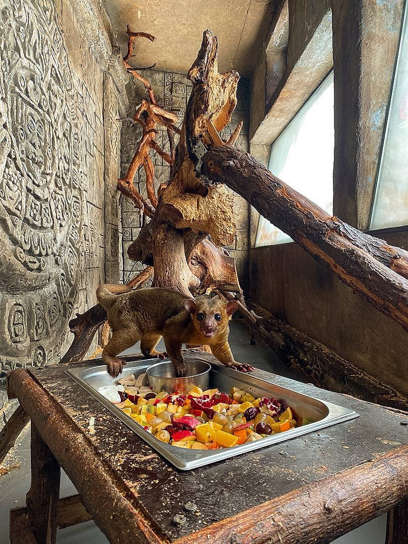 Пока Ростов тонет в тумане, в «медовые медведи» вовсю «едят лето»! Пока Ростов тонет в тумане, в «медовые медведи» вовсю «едят лето»!