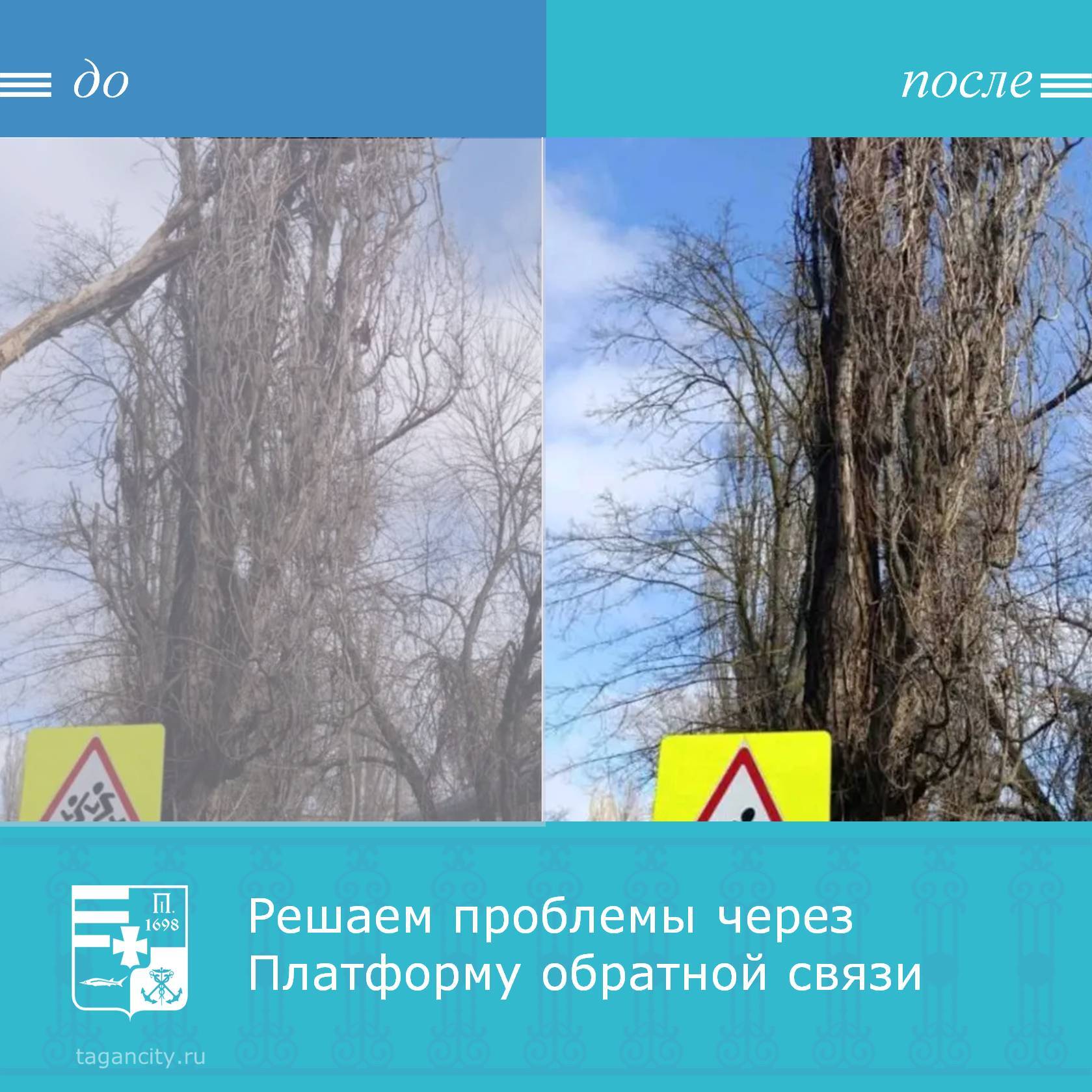 Таганрожцы сообщили через Платформу обратной связи «Госуслуги. Решаем вместе» о проблеме: на улице Л. Чайкиной,38 нависла ветка над проезжей частью дороги