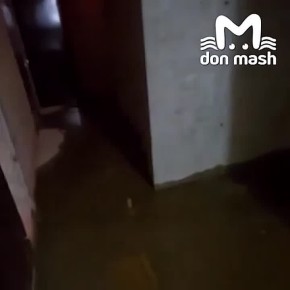 ������� �� "�����������" ������ ������������ �����������, �������� ������