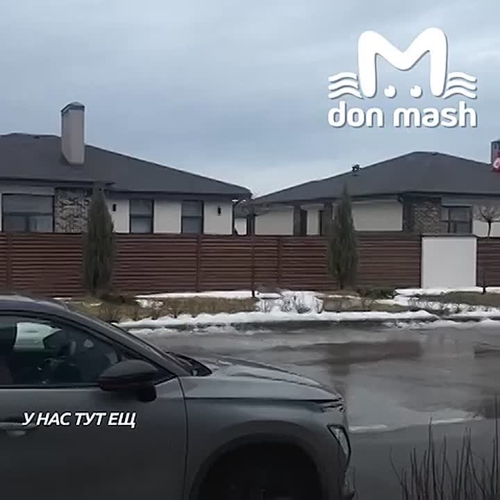 Природа в батайском ЖК "Пульс" настолько очистилась после задержания гопников, что на улице появились павлины и зайцы