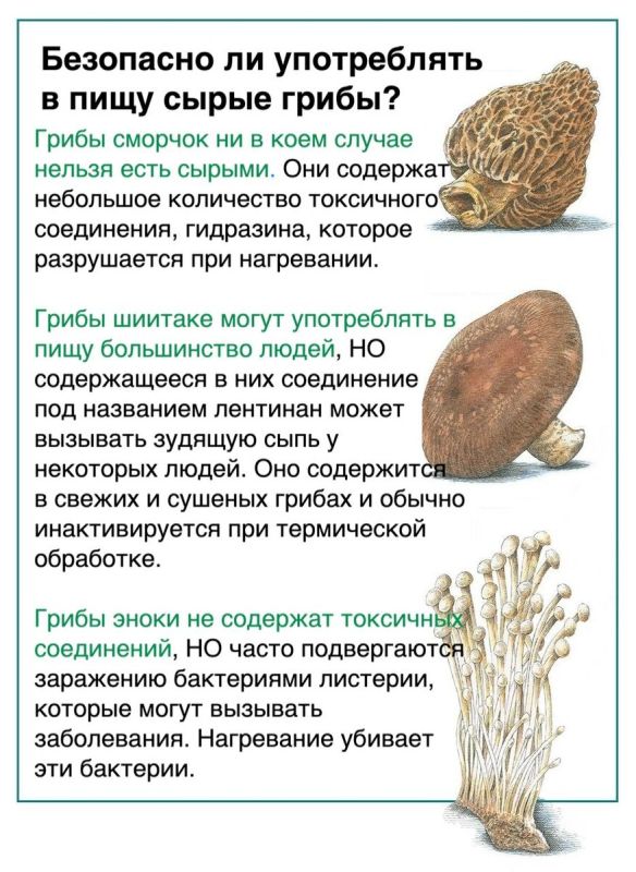 ����� �����: ����� �� �� ���� ��� ��������?