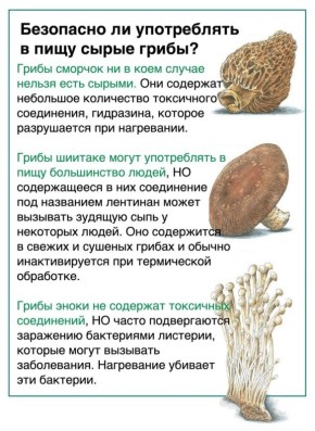 ����� �����: ����� �� �� ���� ��� ��������?