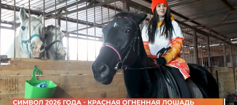 С Новым годом! Наступило время грации и скорости: мир празднует наступление года Огненной Лошади