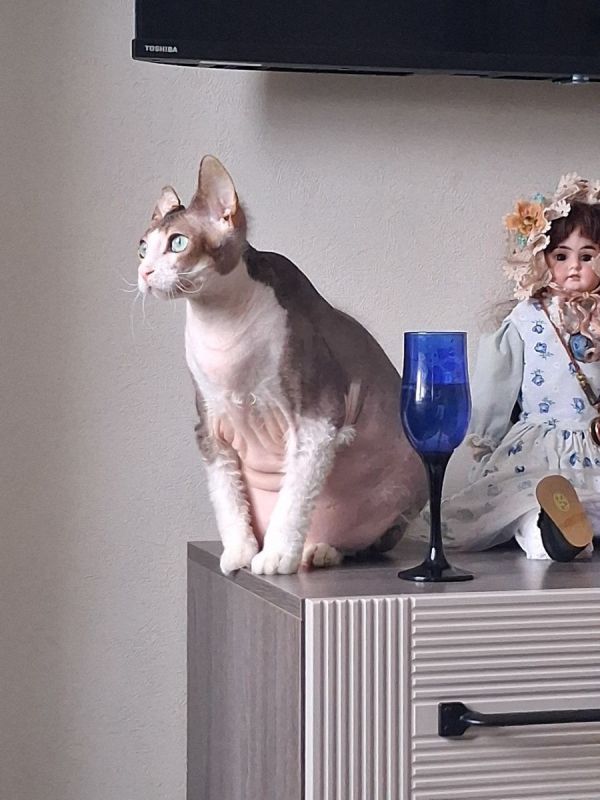 ����� � �����: ����� ������� ���������� ��������