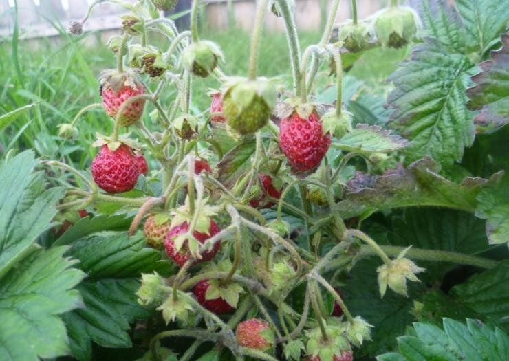 ����������: ��� ��������� ������������� ����� �� ����� �������