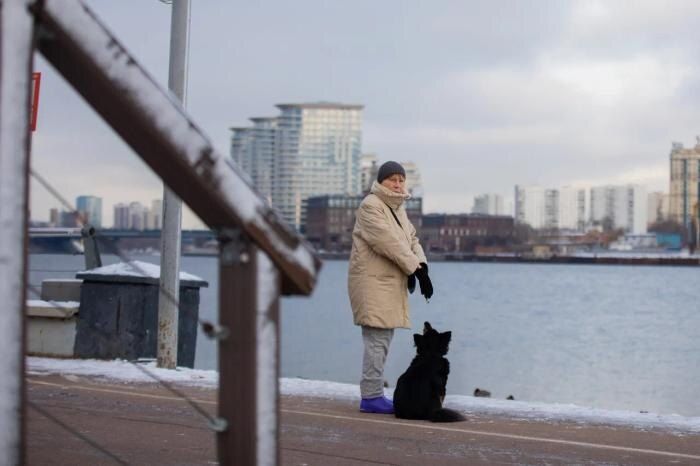 ���������� ������� � ������: ������ ��������� � 2026 ����