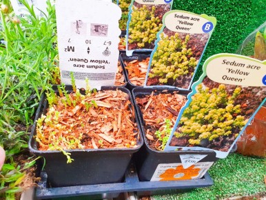 ��������� ���: ����� �������� � ����� ������