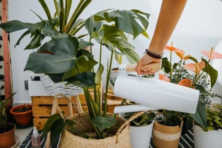 ��� ������ ����� ����������� ��� ���: ��� ��������� ��������� ��������