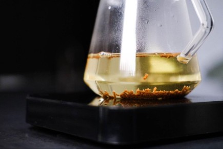 ��������� ���: ������������ ������� � �������� �������