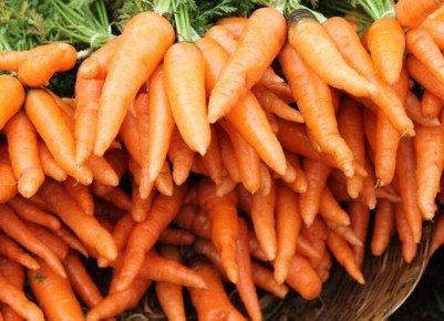 ����� ������ ������ ������� ��� ���������� ������