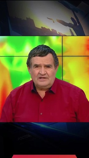 Как избавиться от муравьев в доме?