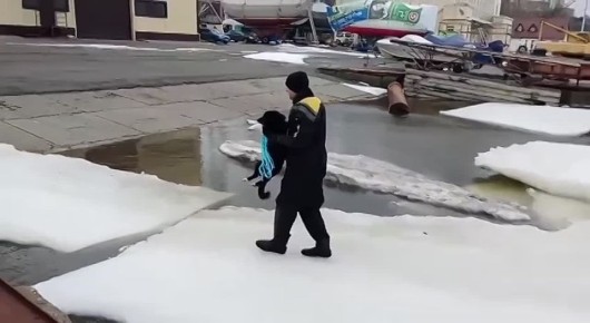 ������������ �� ������ ������ ������ � ������������ ������