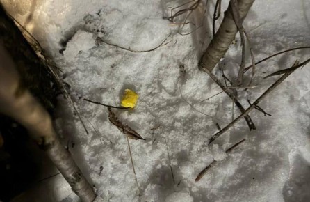 В Новочеркасске задержали троих подозреваемых в сбыте амфетамина