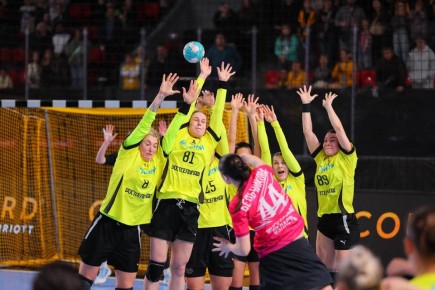 Сегодня в ростовском Дворце спорта состоялся матч ГК «Ростов-Дон» со звенигородской «Звездой»