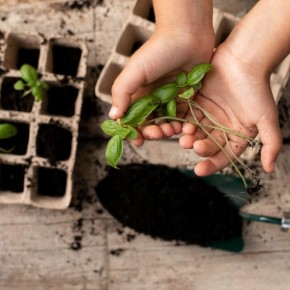 ������ �����: ����� �������� ����� ����� � ������ ��� ��������� ������