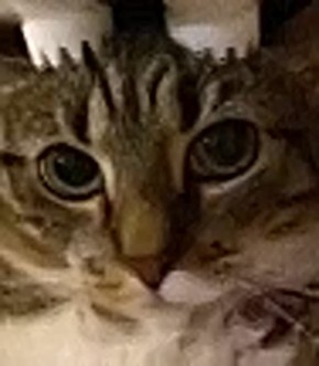 �� 23 ������� � ���������� ������� ������������ ��������� ����